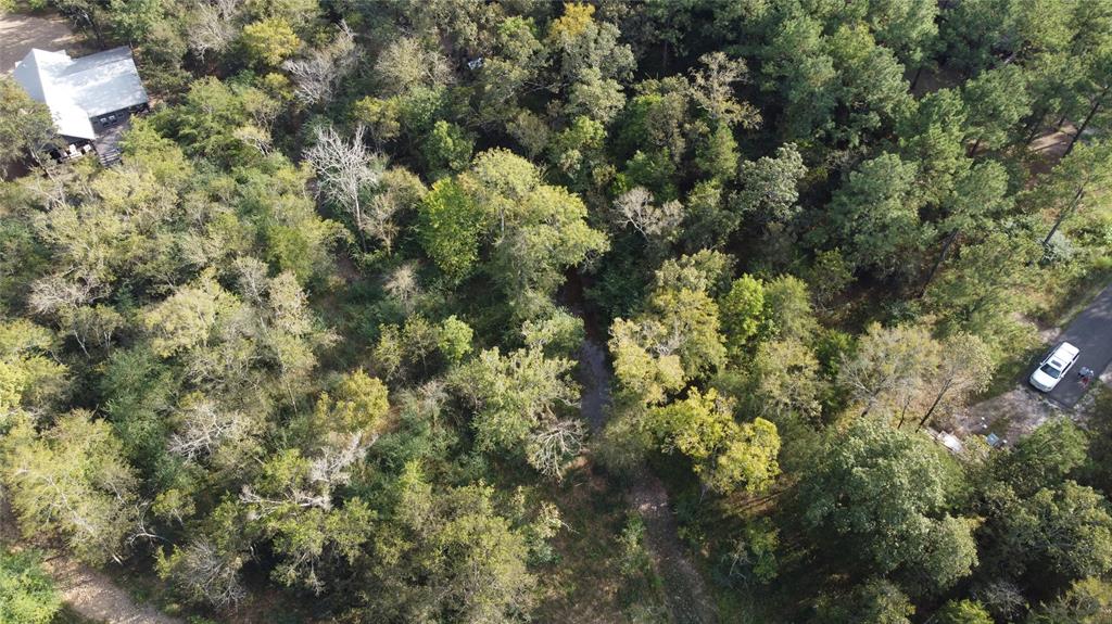 105 Cedar Bluff Trail