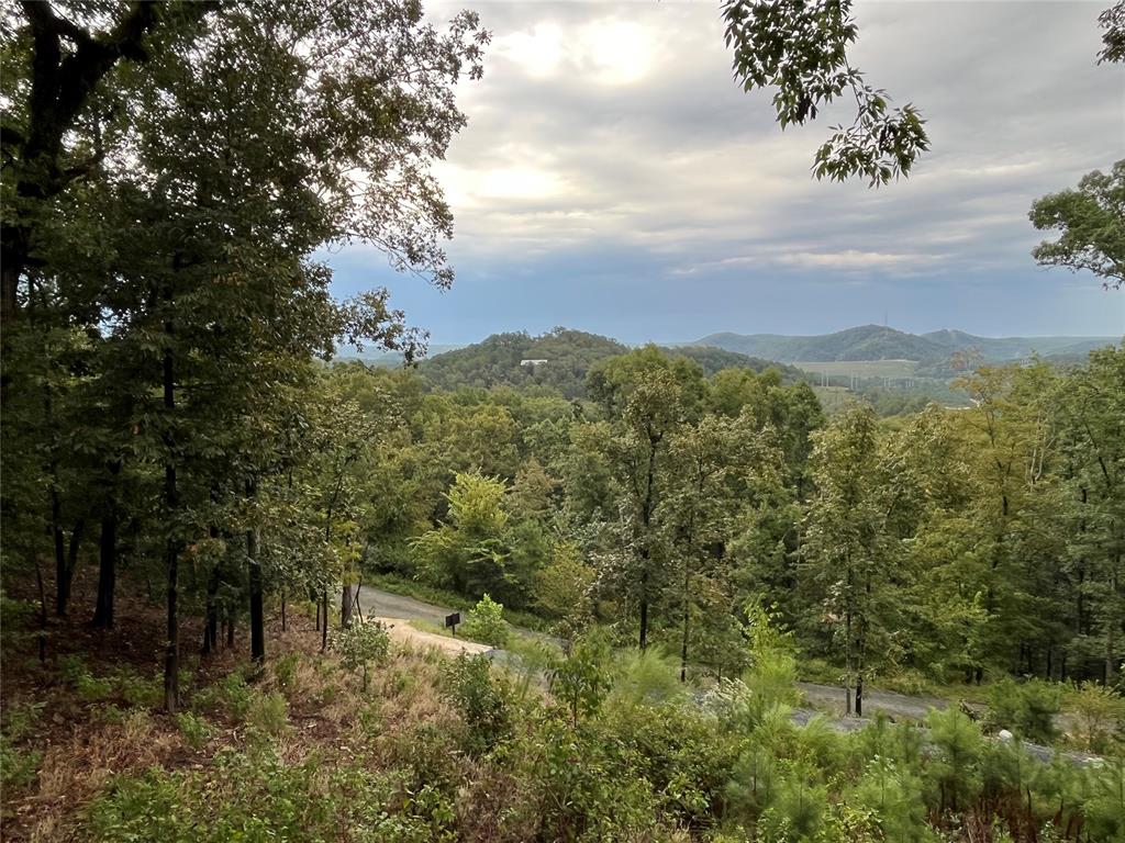 447 Little Creek Lane