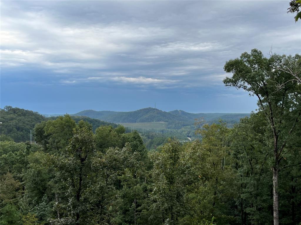 447 Little Creek Lane