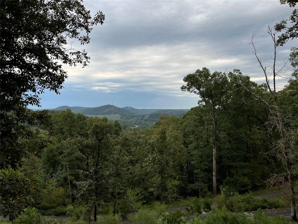 447 Little Creek Lane