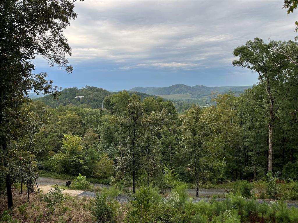 447 Little Creek Lane