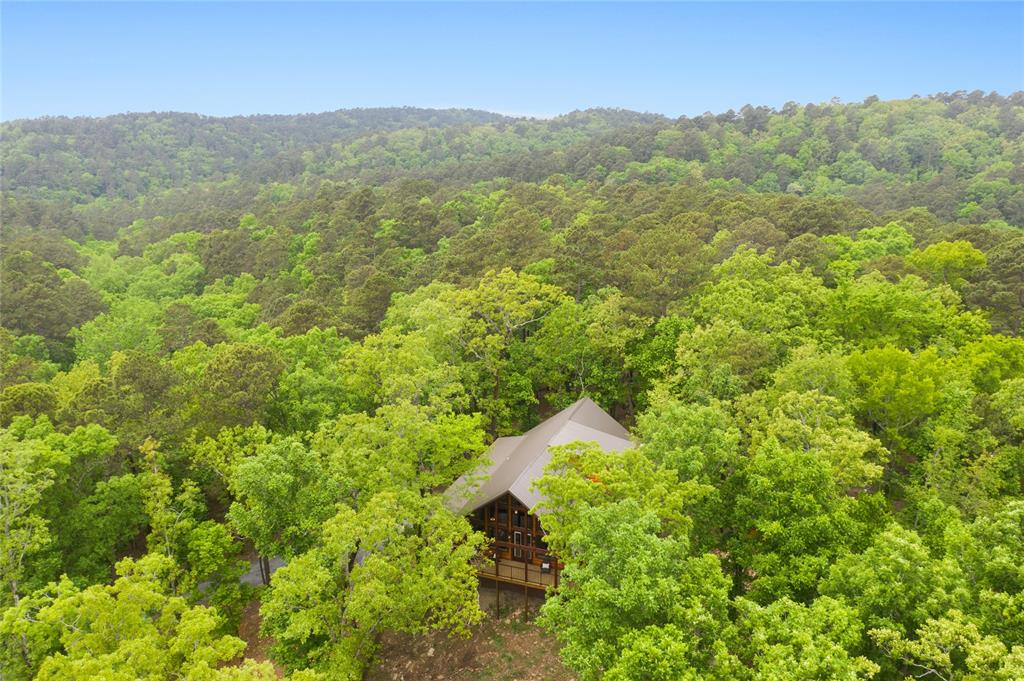 447 Little Creek Lane