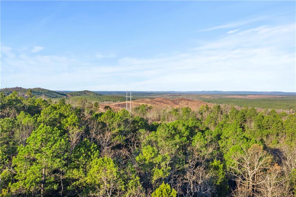 87 Monterey Oak Trail