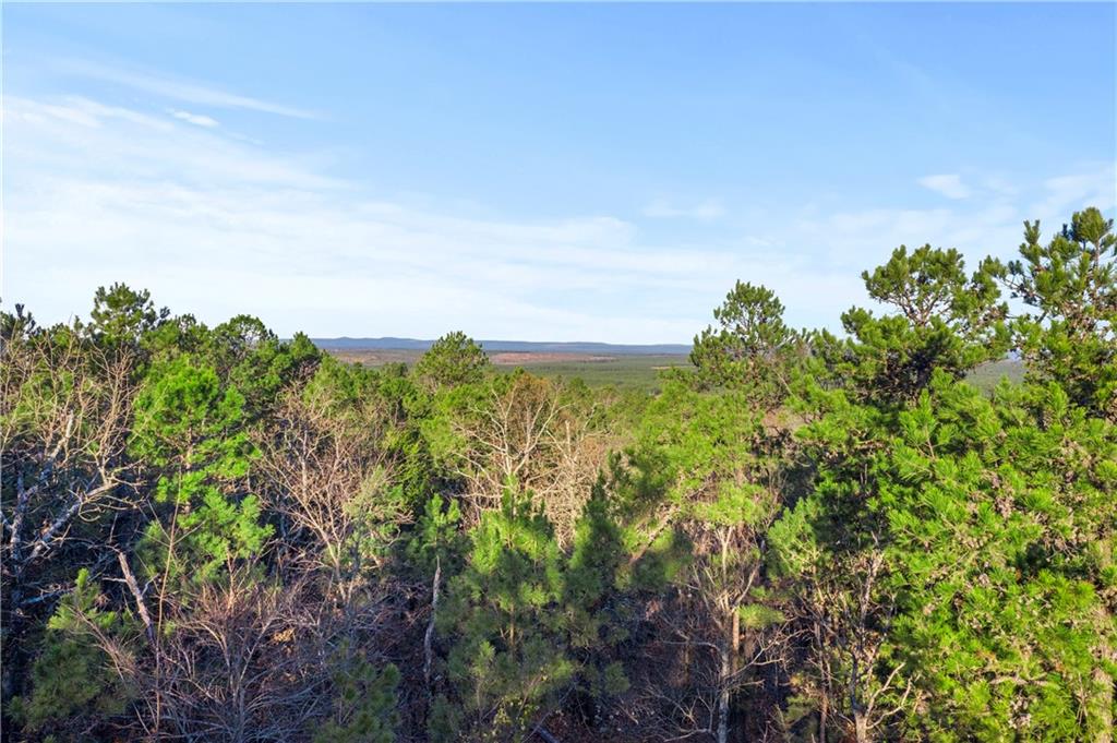 87 Monterey Oak Trail