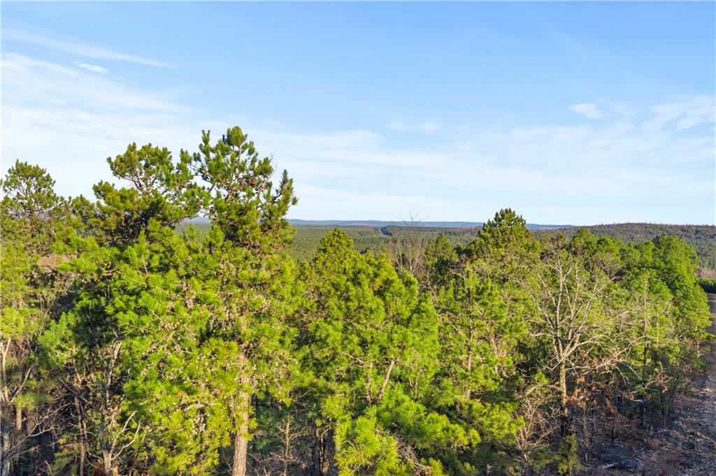 87 Monterey Oak Trail