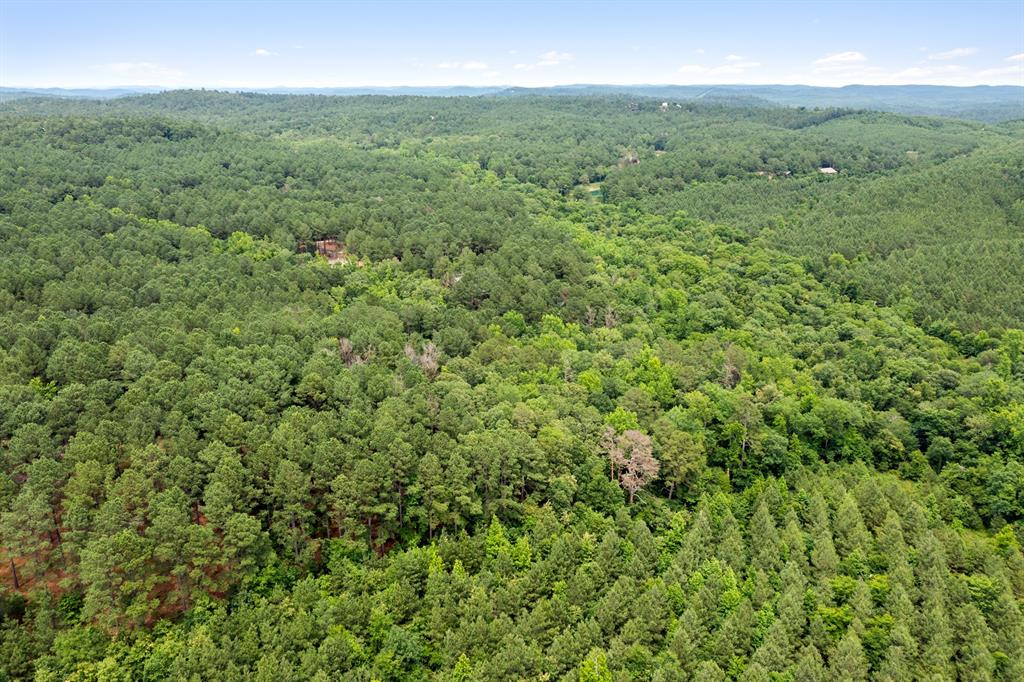 21 Southern Hills South