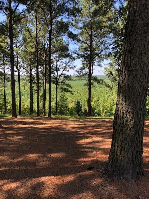 21 Southern Hills South