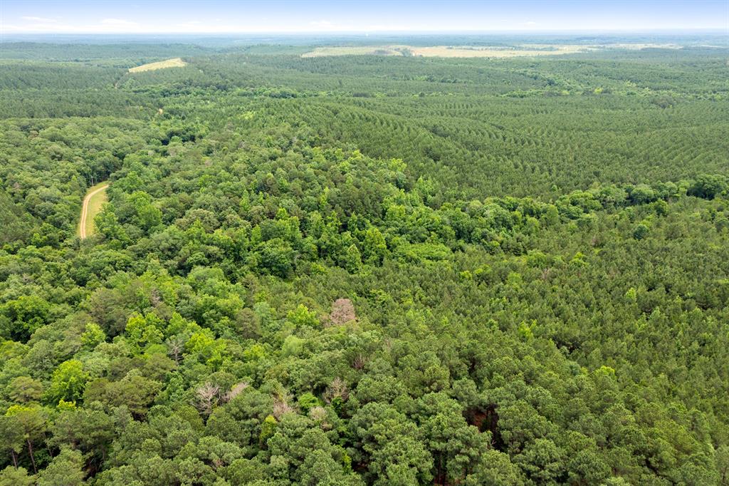 21 Southern Hills South