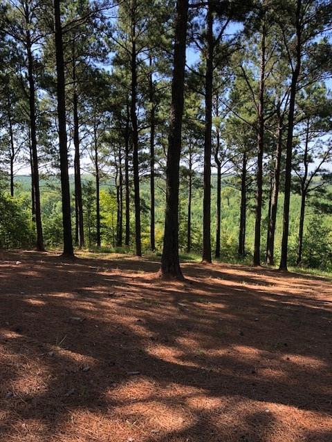 21 Southern Hills South