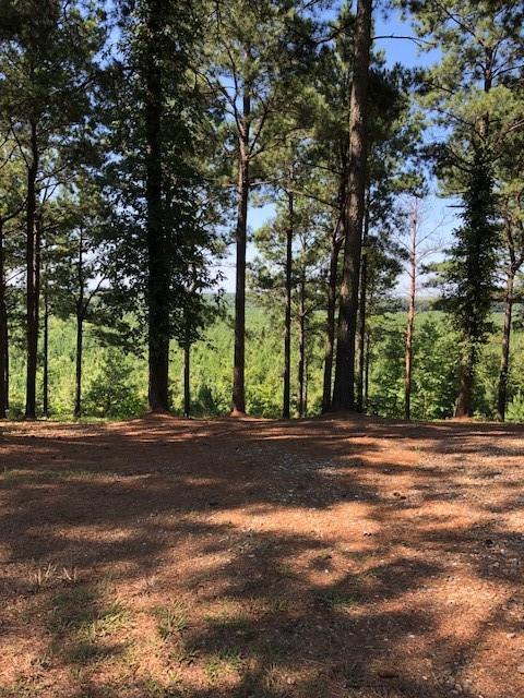 21 Southern Hills South