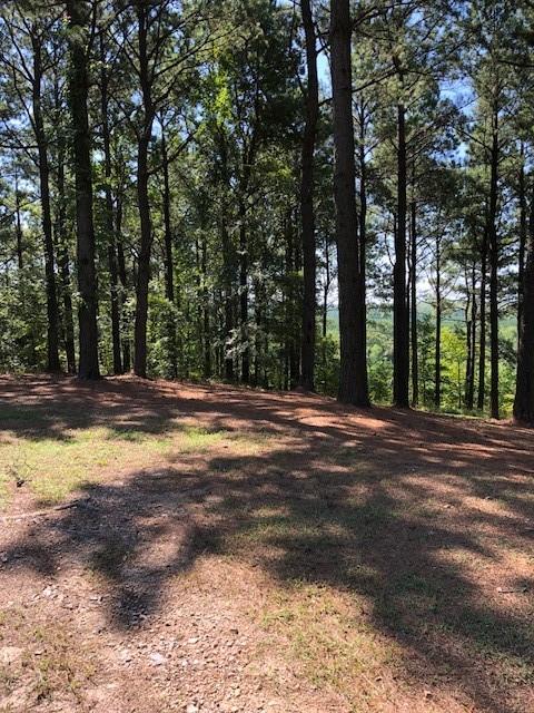 21 Southern Hills South