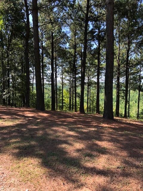 21 Southern Hills South