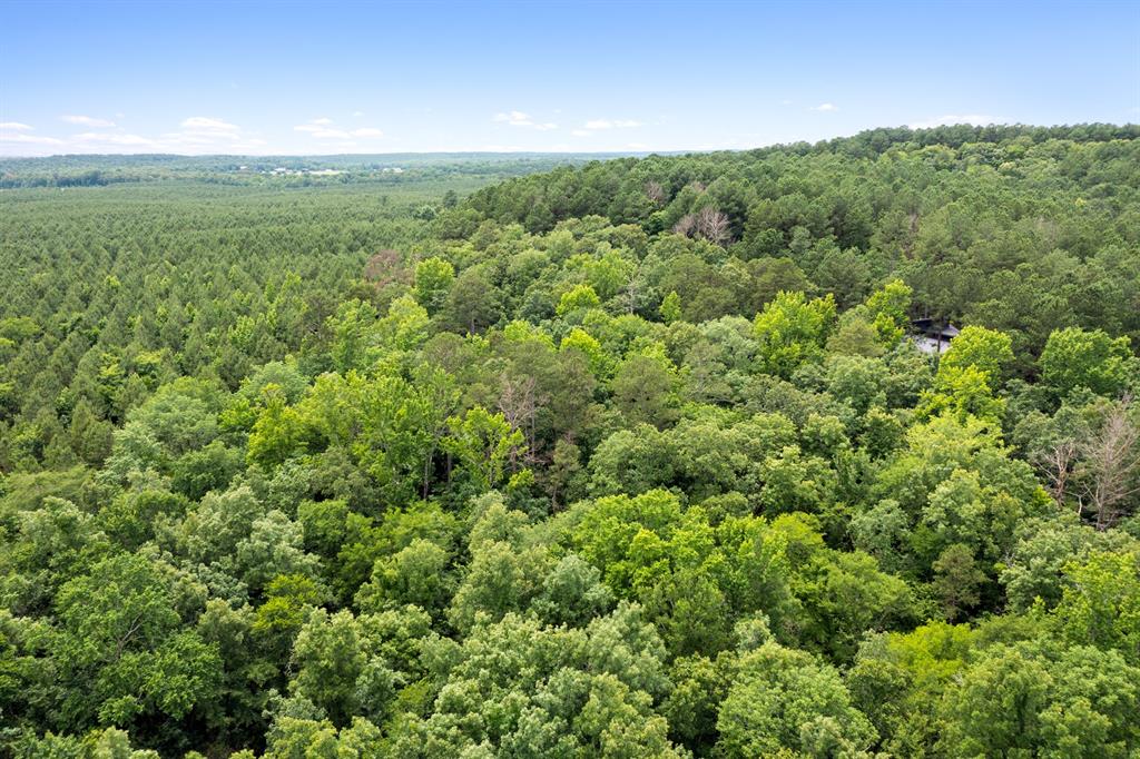 21 Southern Hills South