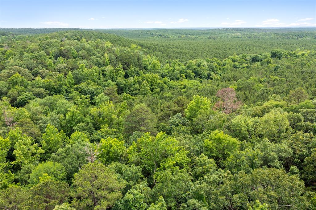 21 Southern Hills South