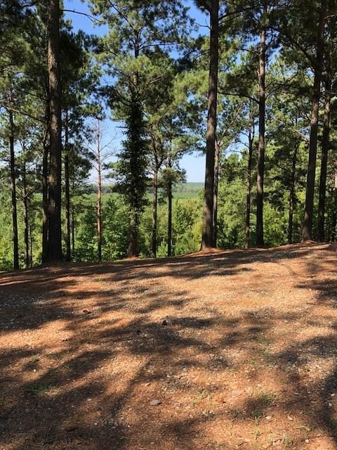 21 Southern Hills South