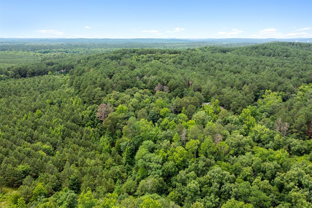 21 Southern Hills South