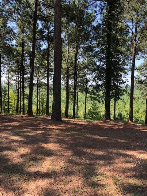 21 Southern Hills South