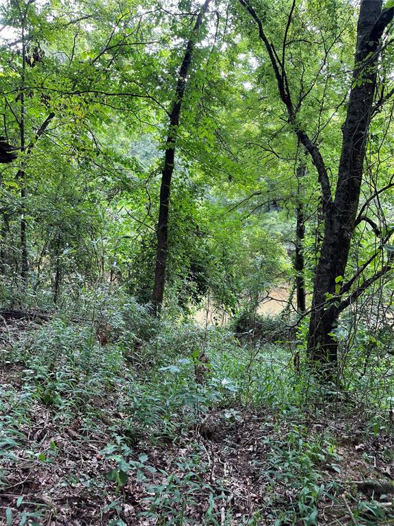 6937 Holly Creek Road