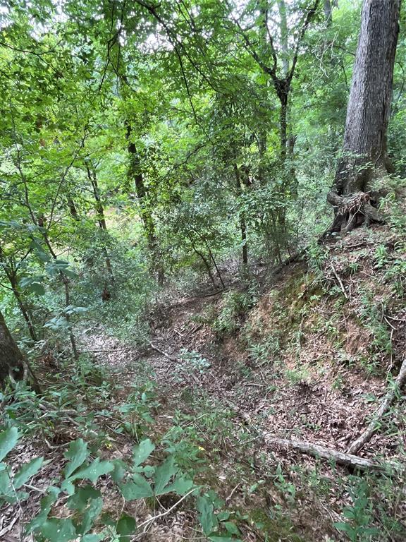 6937 Holly Creek Road