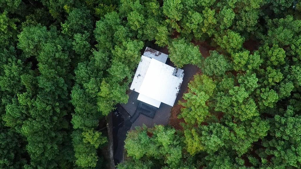 138 Sharp Holly Trail