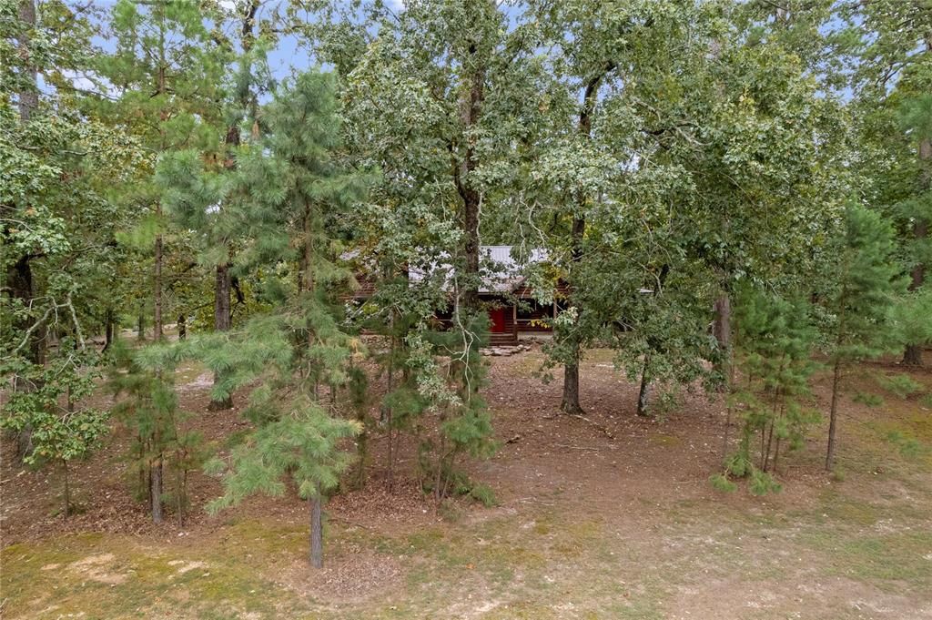 302 Neeson Wood Lane