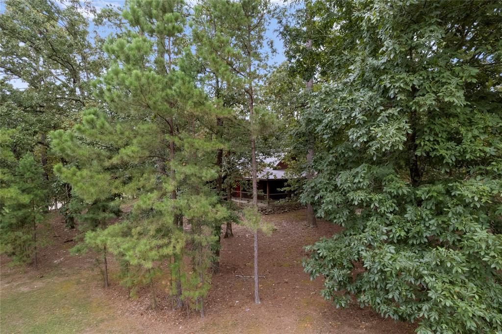 302 Neeson Wood Lane