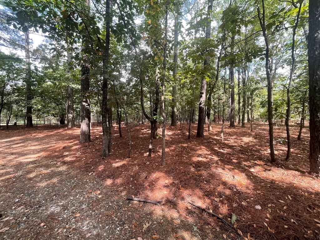 616 Southern Hills Road