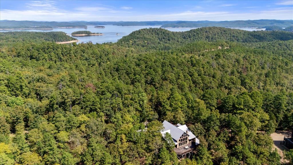 1110 Lake Ridge Lane