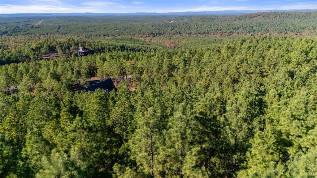 561 Timberline Trail