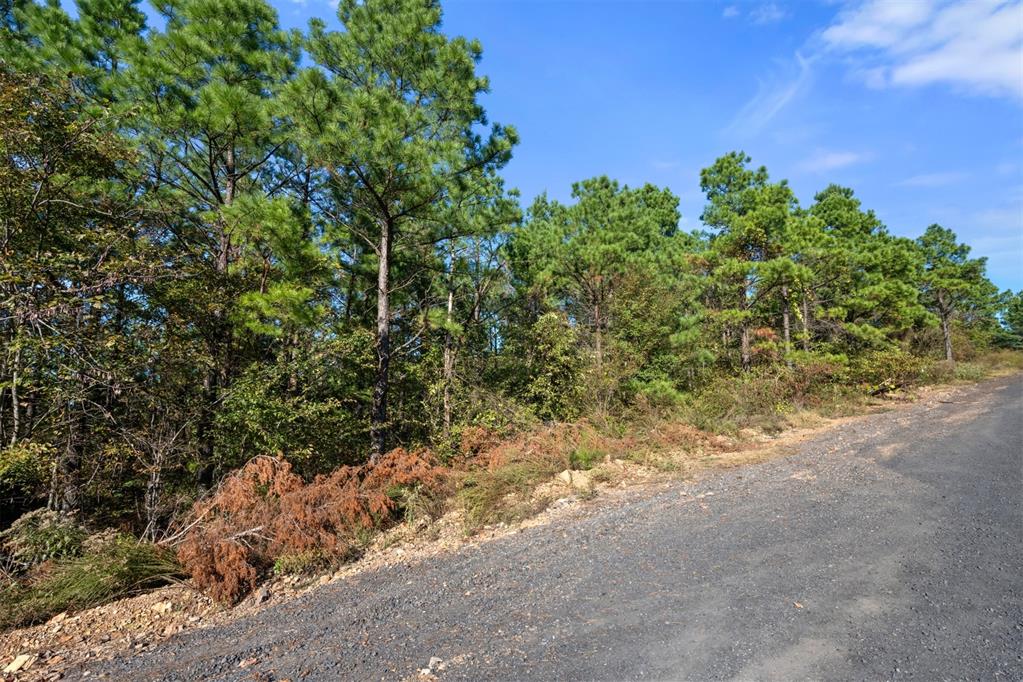 561 Timberline Trail