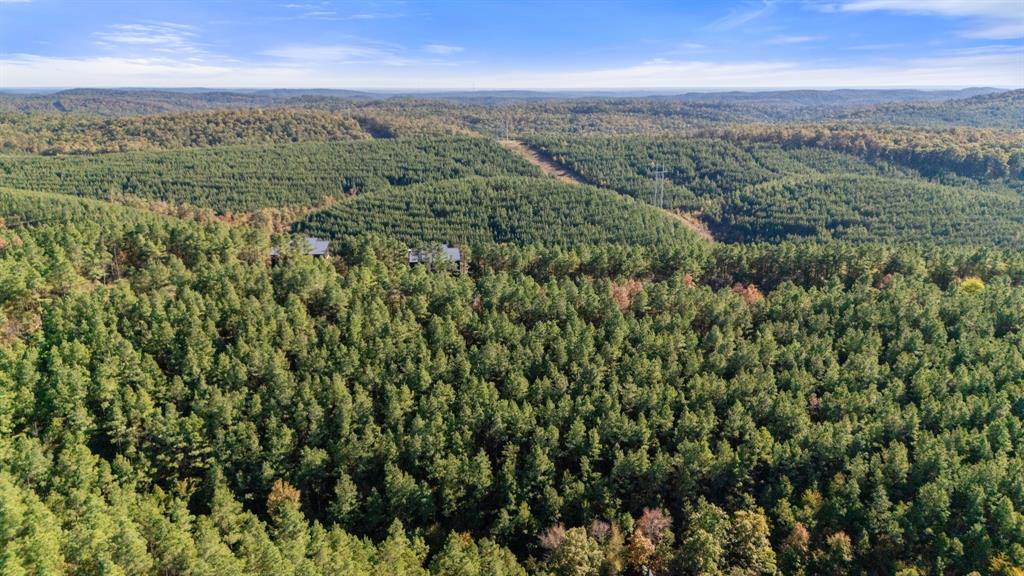 561 Timberline Trail