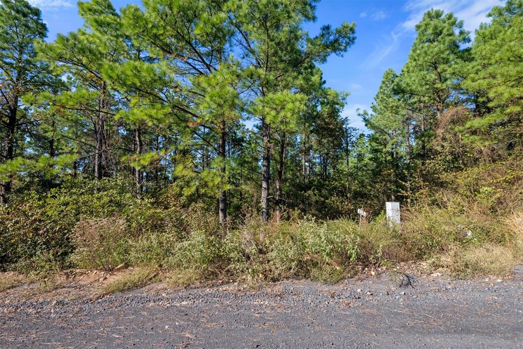 561 Timberline Trail