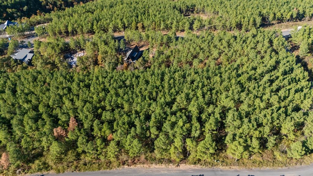 561 Timberline Trail