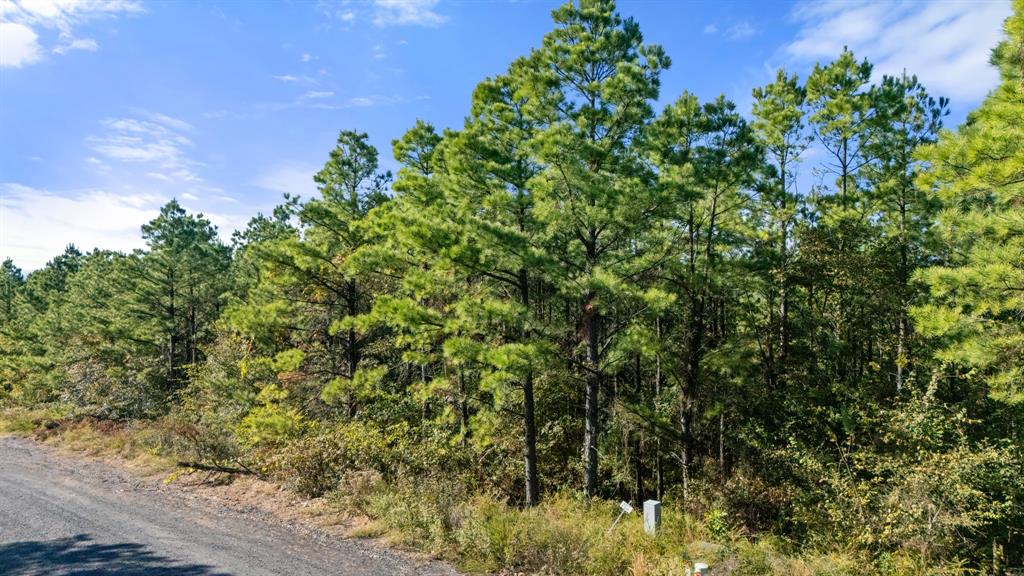 561 Timberline Trail