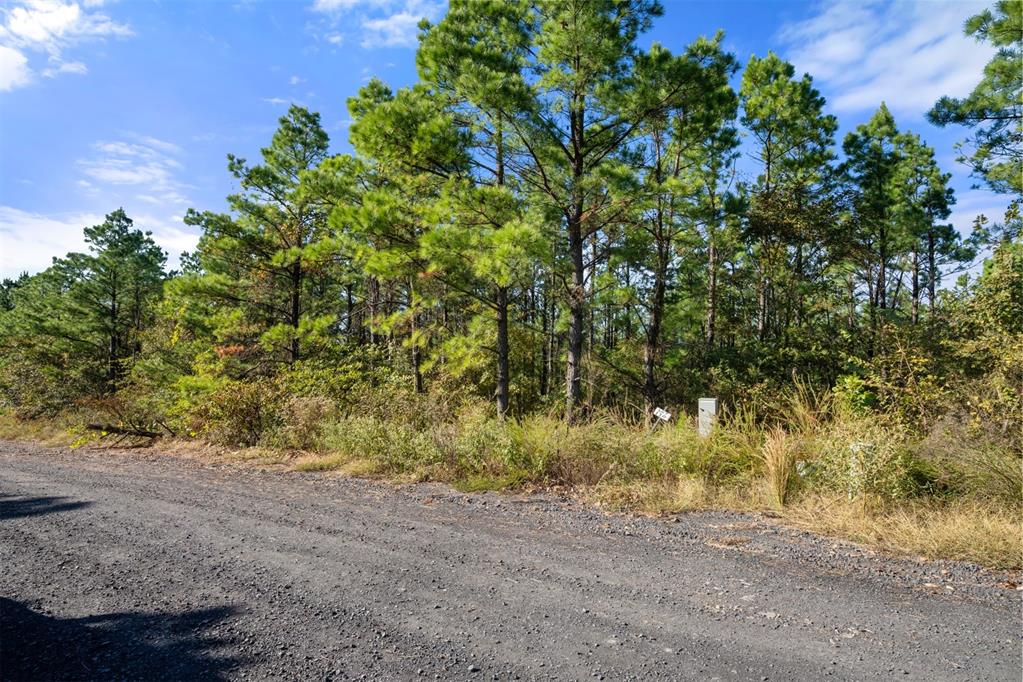 561 Timberline Trail