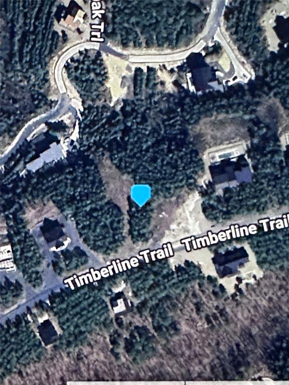 561 Timberline Trail