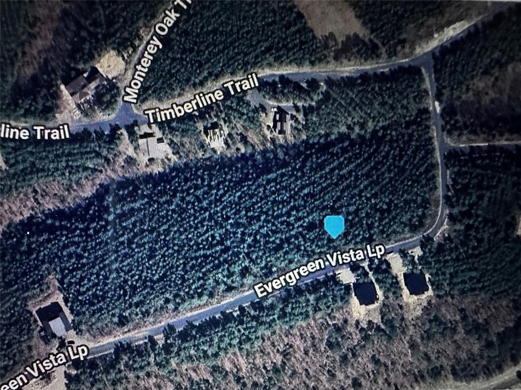 151 Evergreen Vista Loop