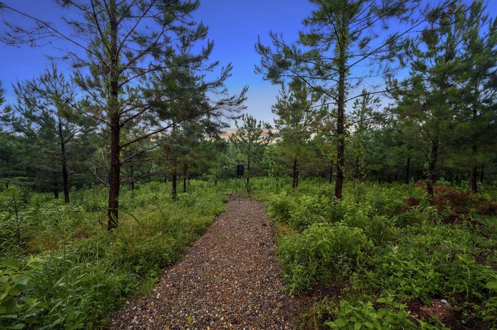 148 Palo Verde Trail