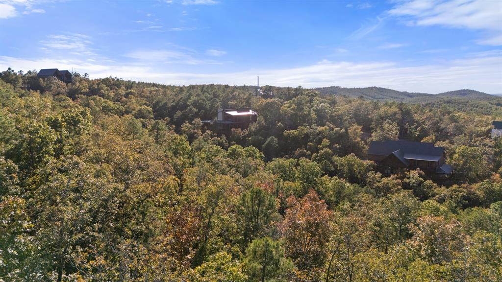 215 Sierra Vista Trail