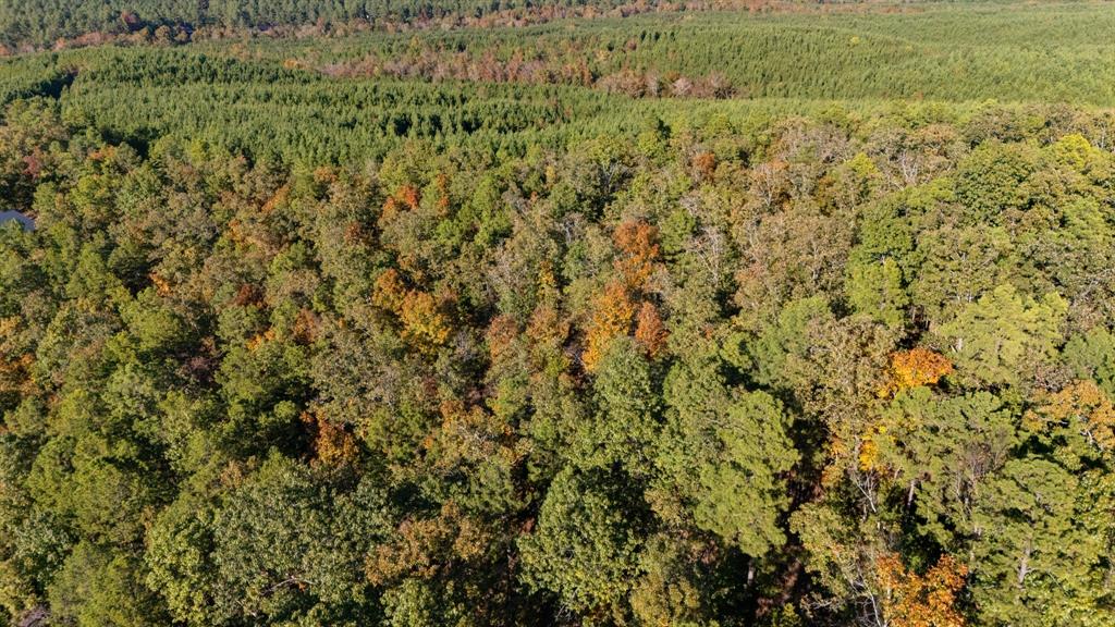 215 Sierra Vista Trail