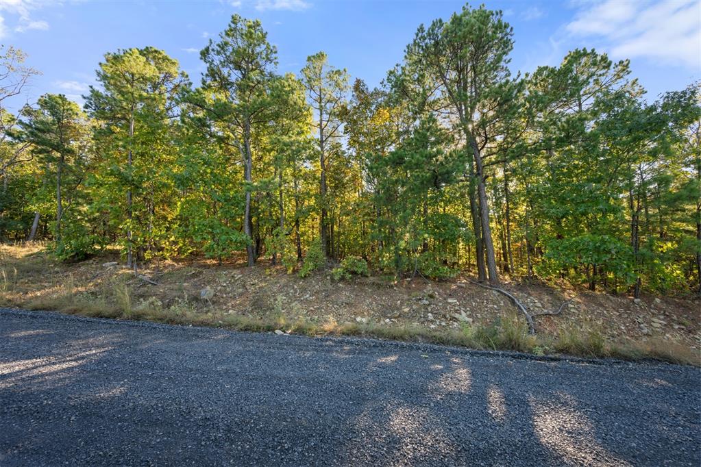 215 Sierra Vista Trail