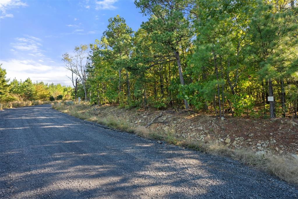 215 Sierra Vista Trail