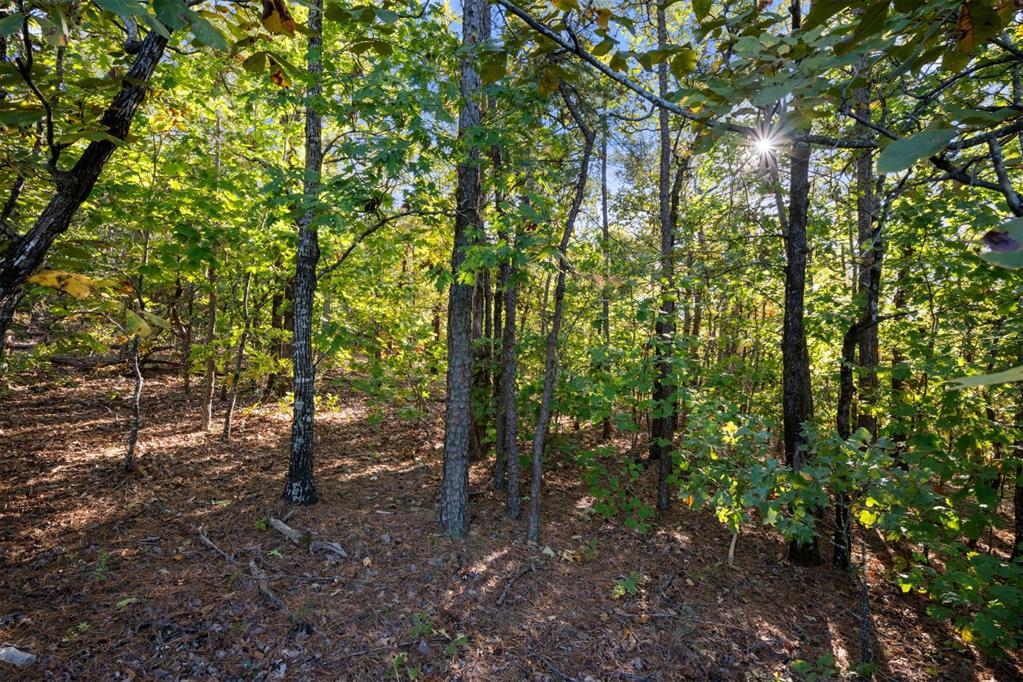 215 Sierra Vista Trail