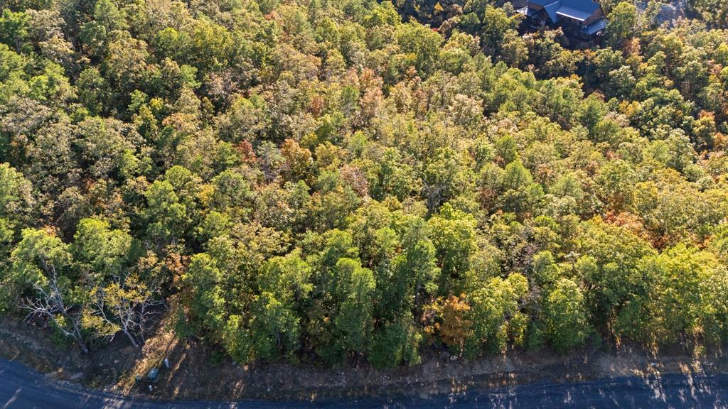 215 Sierra Vista Trail