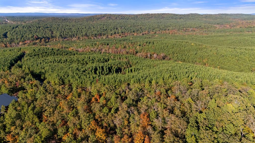 215 Sierra Vista Trail