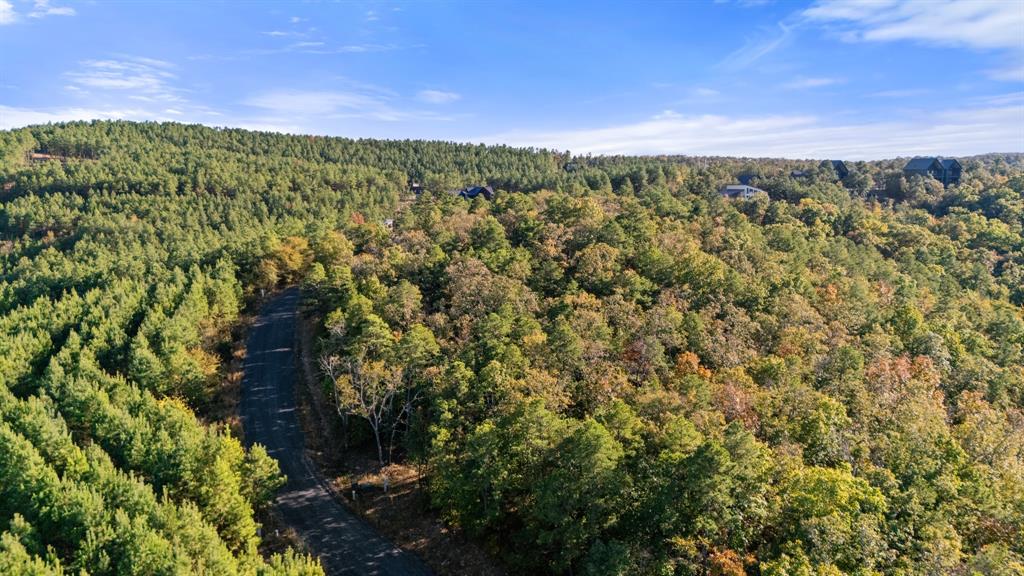 215 Sierra Vista Trail