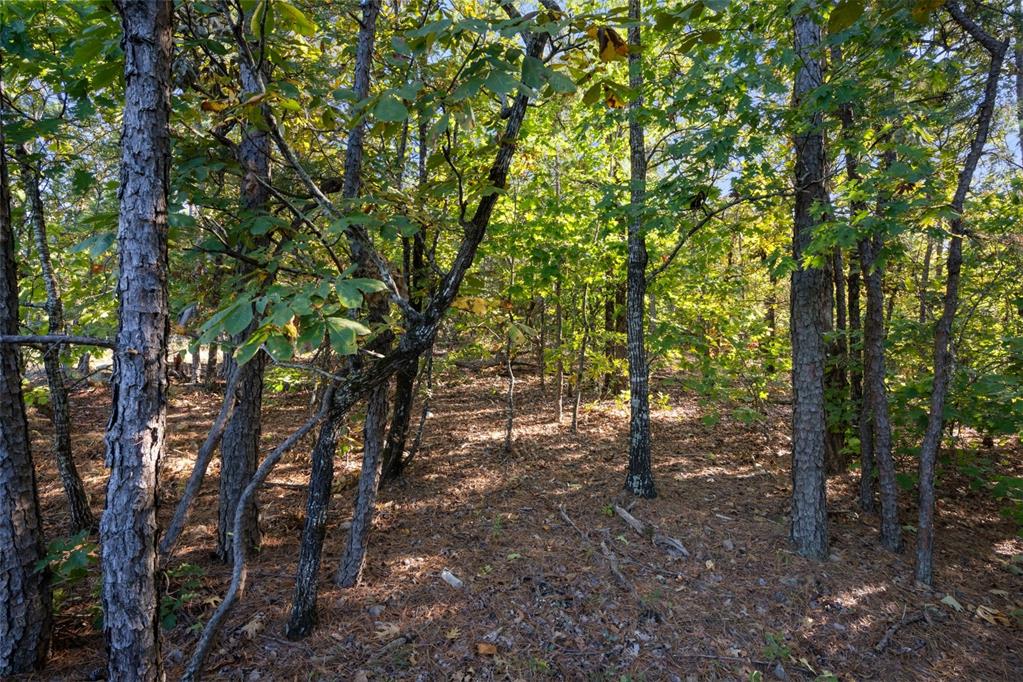 215 Sierra Vista Trail