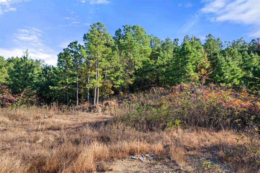 346 Overcup Oak Trail