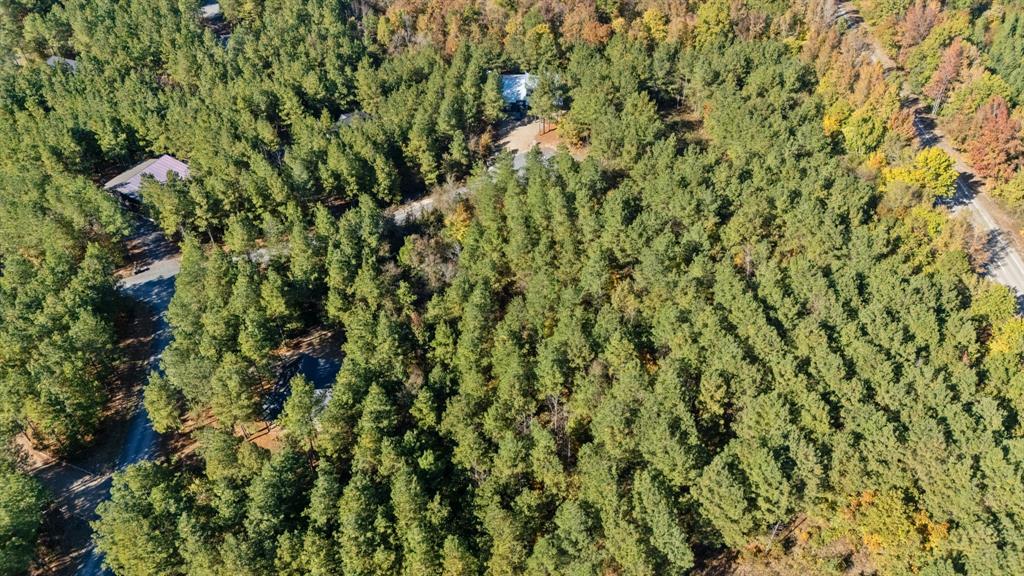 14 Gopher Wood Trail