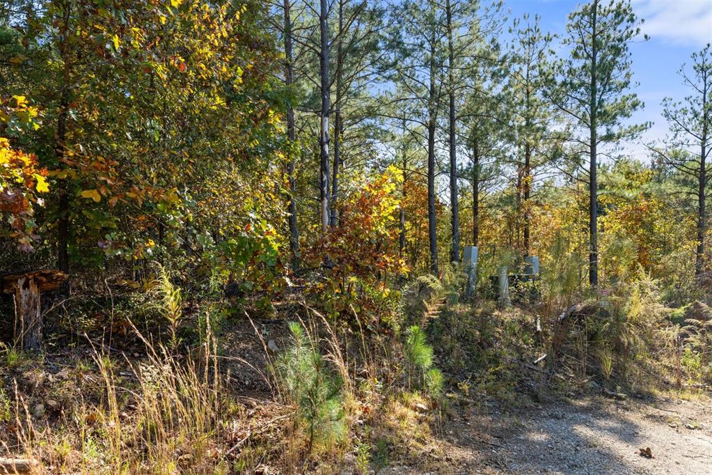 14 Gopher Wood Trail